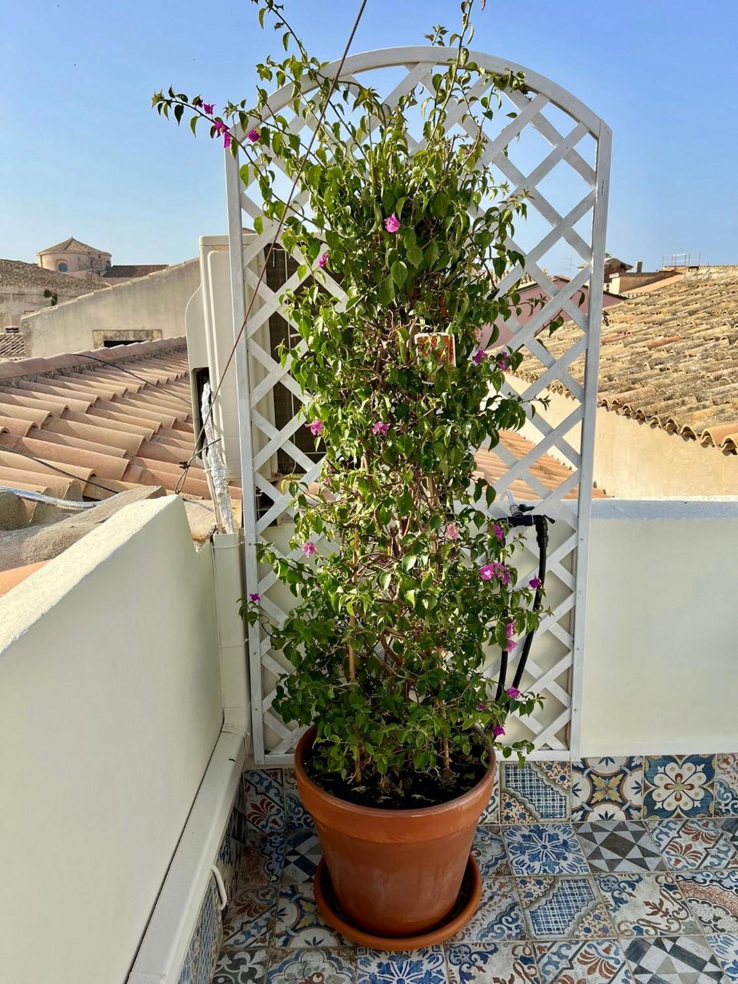 Incantevole Appartamento In Palazzo Storico Ortigia Siraküza Dış mekan fotoğraf